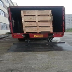 Oodella TikTok